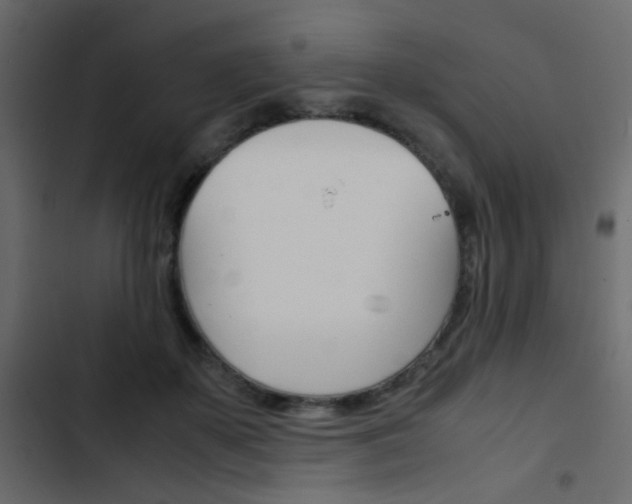 X0000103900507200809191058