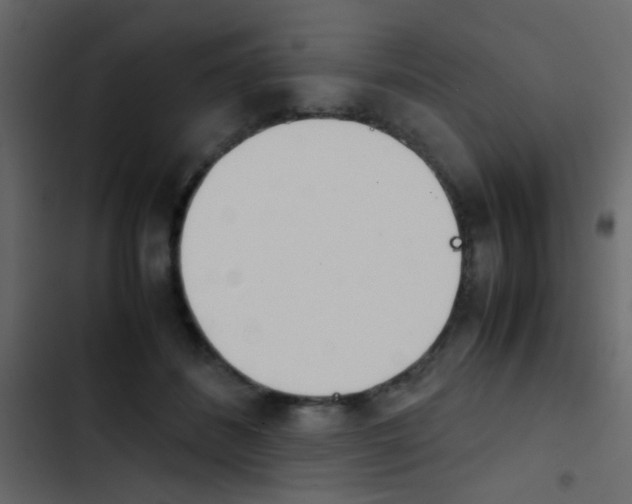 X0000103900508200809191058