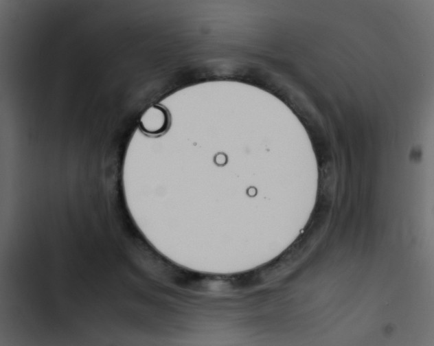 X0000103900509200809191058