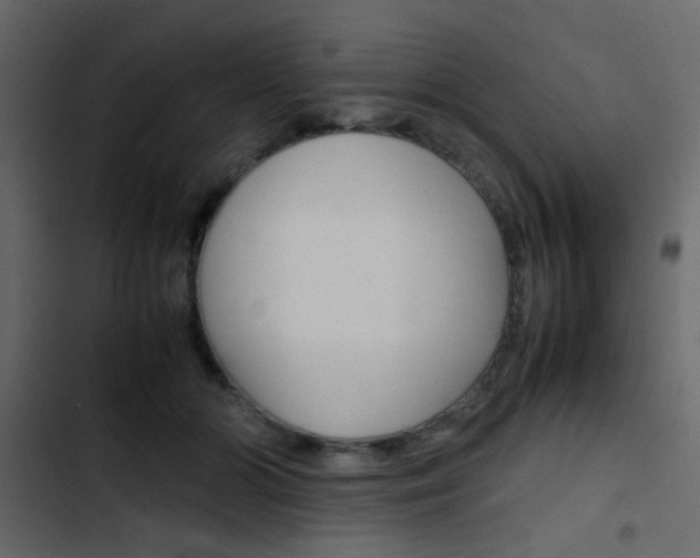 X0000103900510200809191058