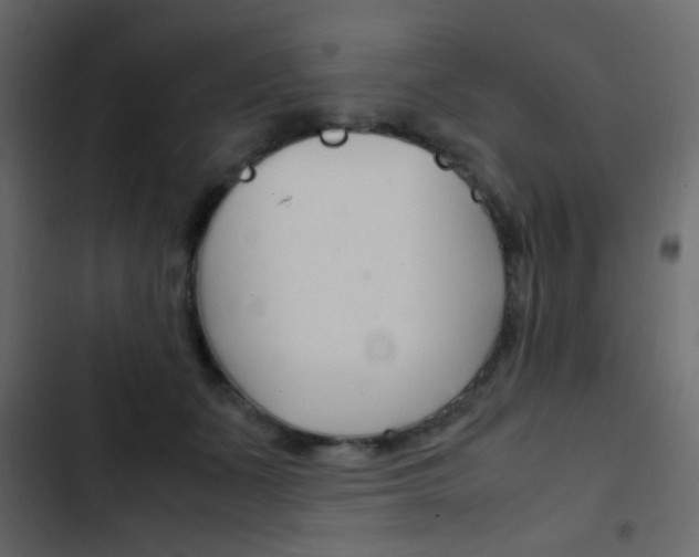X0000103900511200809191058