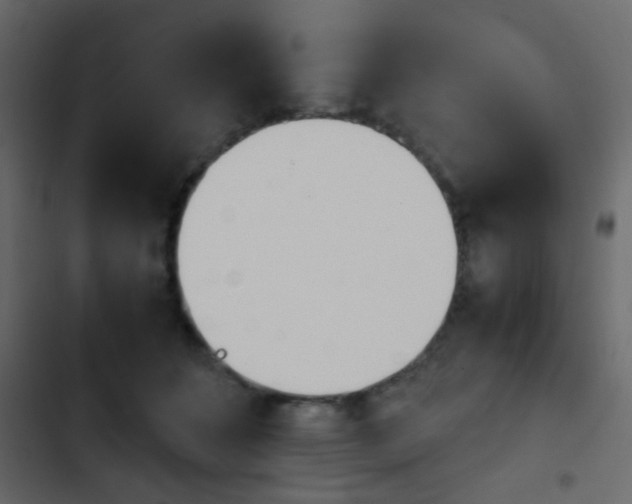 X0000103900512200809191058