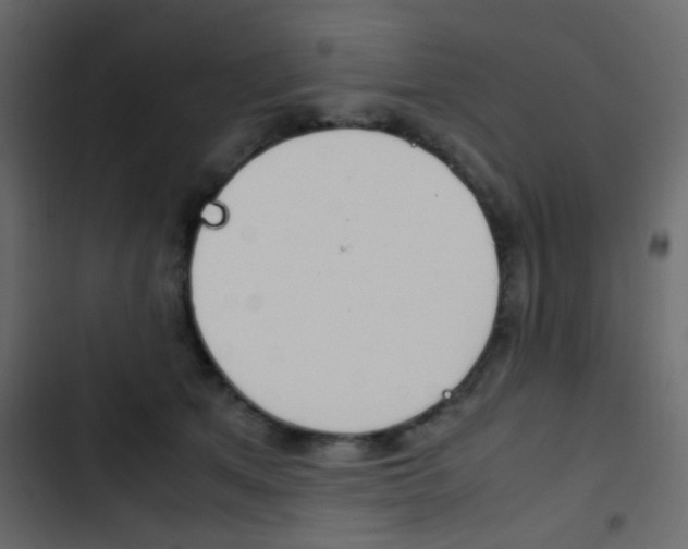 X0000103900513200809191058