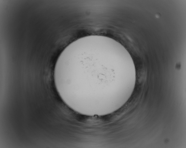 X0000103900515200809191058