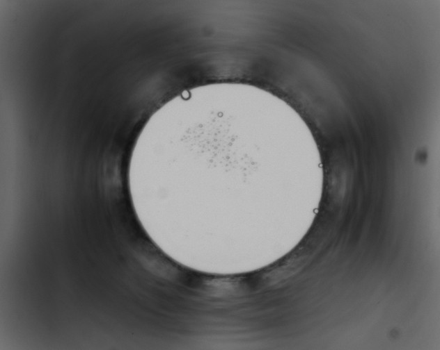 X0000103900516200809191058