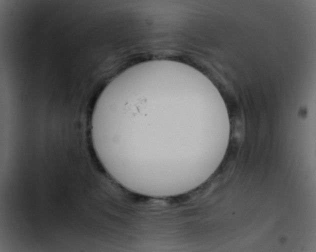 X0000103900519200809191058