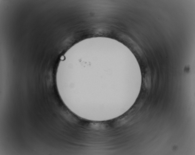 X0000103900520200809191058