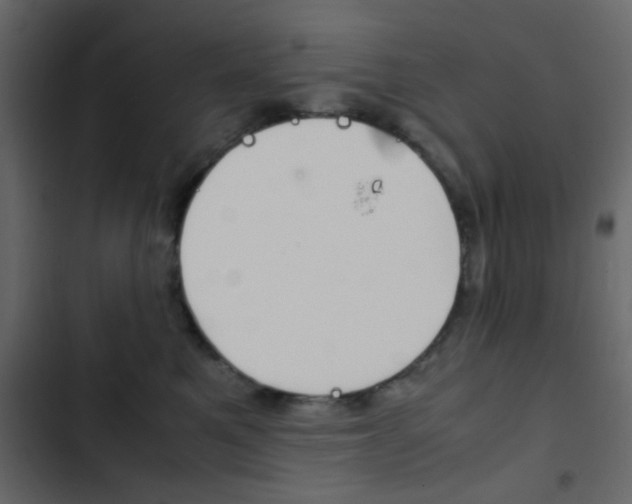 X0000103900521200809191058