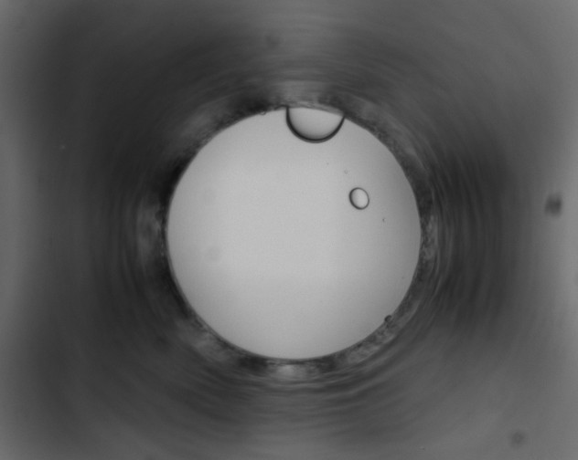 X0000103900522200809191058