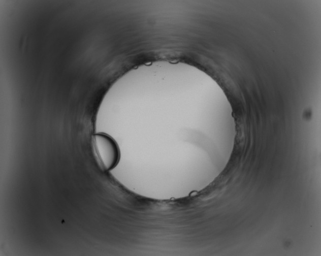 X0000103900523200809191058