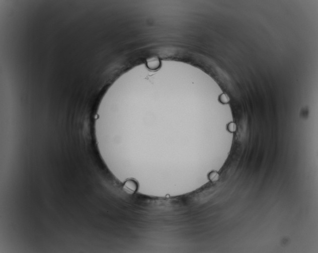 X0000103900524200809191058