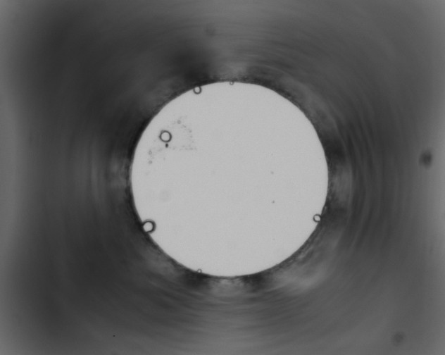 X0000103900525200809191058