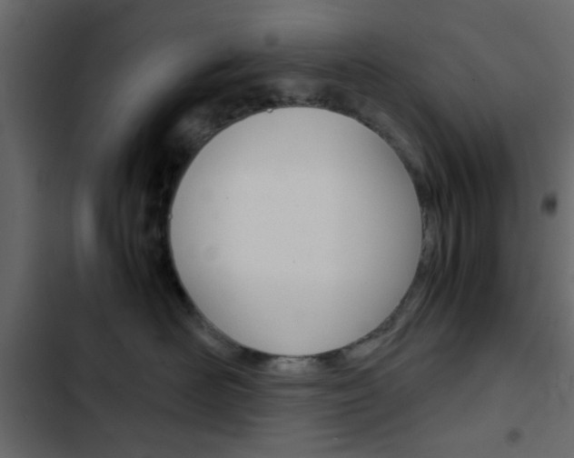 X0000103900526200809191058