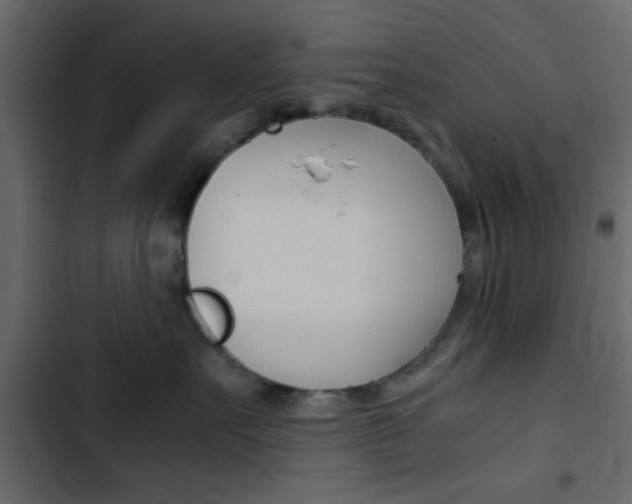 X0000103900527200809191058
