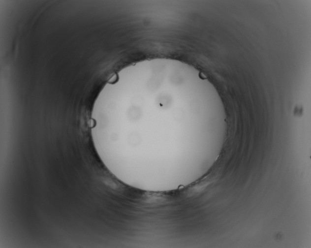 X0000103900528200809191058