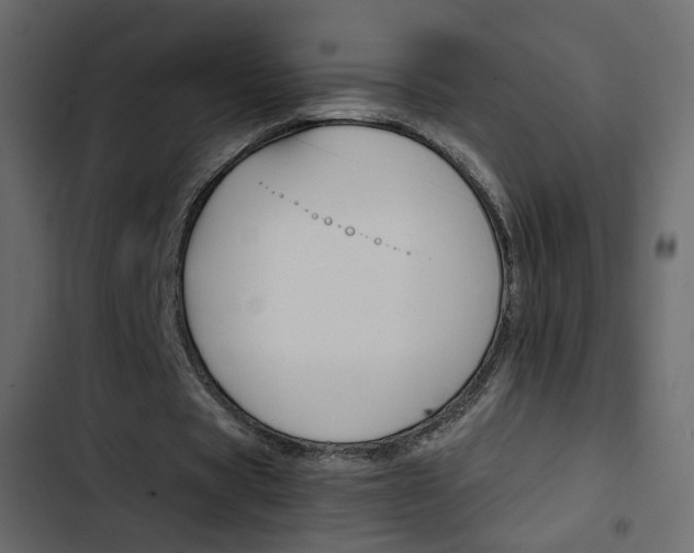 X0000103900529200809191057