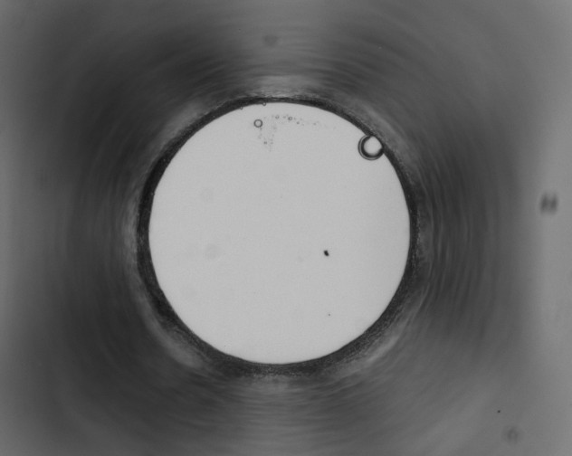 X0000103900530200809191057
