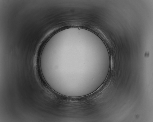 X0000103900531200809191057