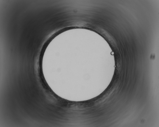 X0000103900532200809191057