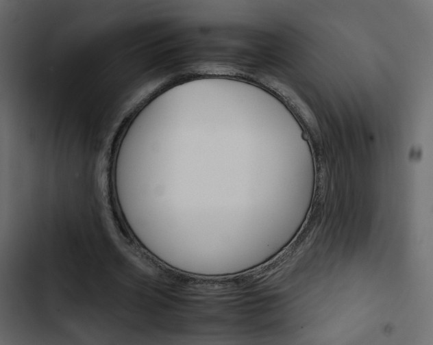 X0000103900533200809191057
