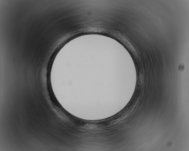 X0000103900534200809191057