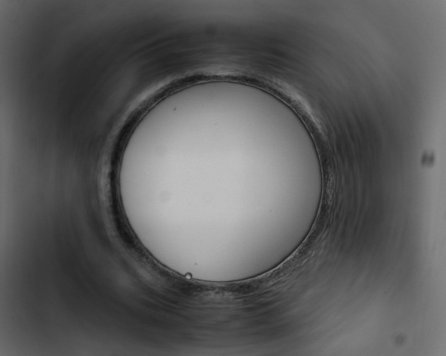 X0000103900535200809191057