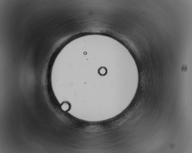 X0000103900536200809191057