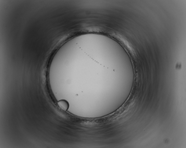 X0000103900537200809191057