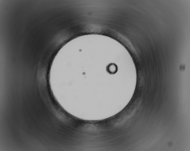 X0000103900538200809191057