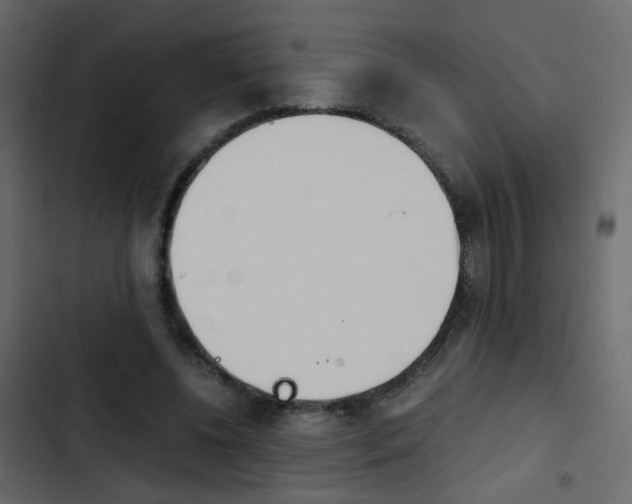 X0000103900540200809191057