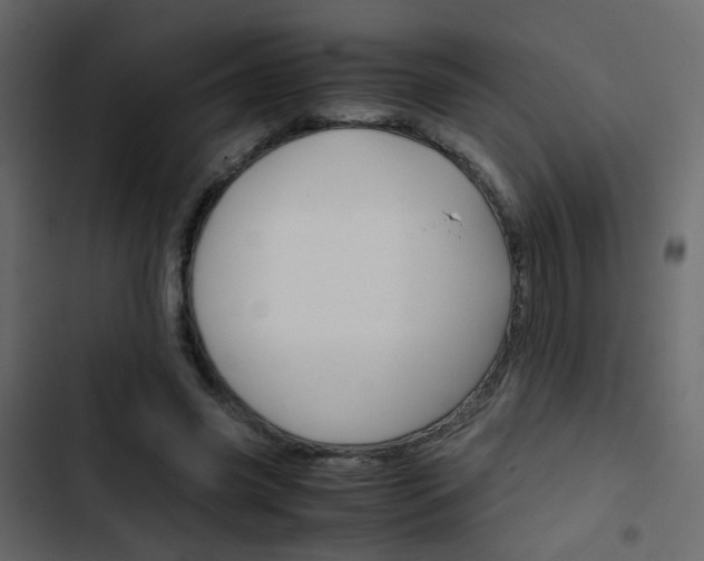 X0000103900541200809191057