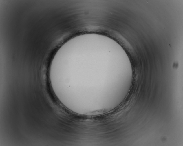 X0000103900542200809191057