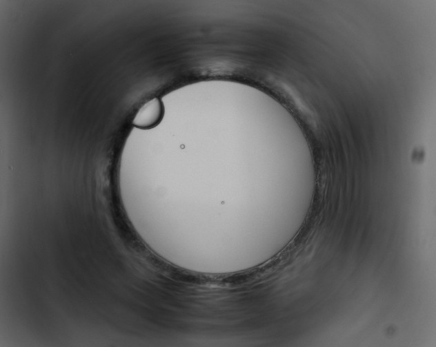 X0000103900543200809191057