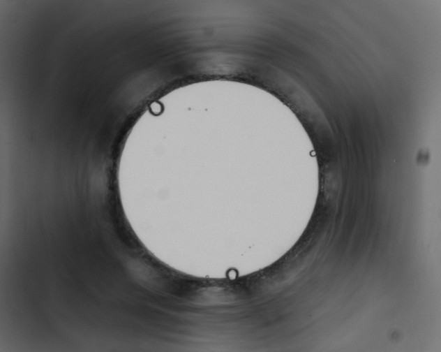 X0000103900544200809191057
