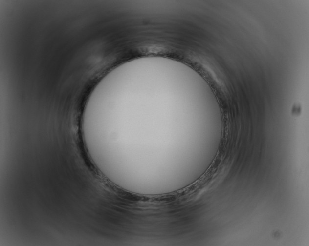 X0000103900545200809191058