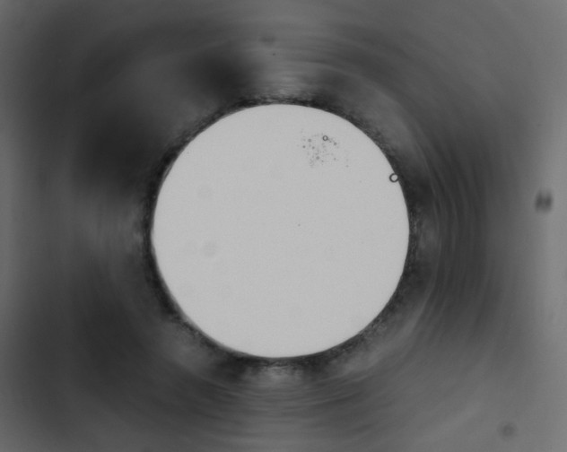 X0000103900546200809191058
