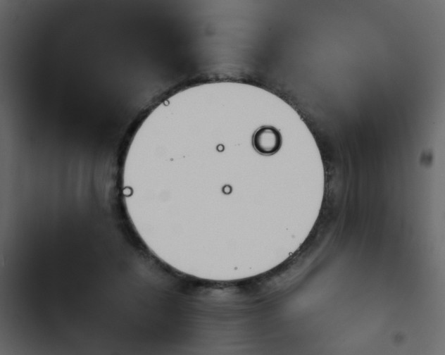X0000103900548200809191058