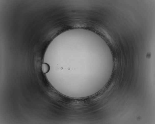 X0000103900549200809191058