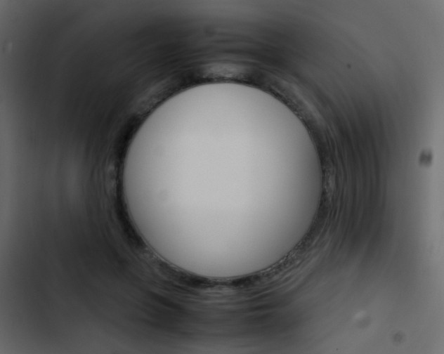 X0000103900551200809191058
