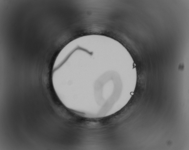 X0000103900552200809191058