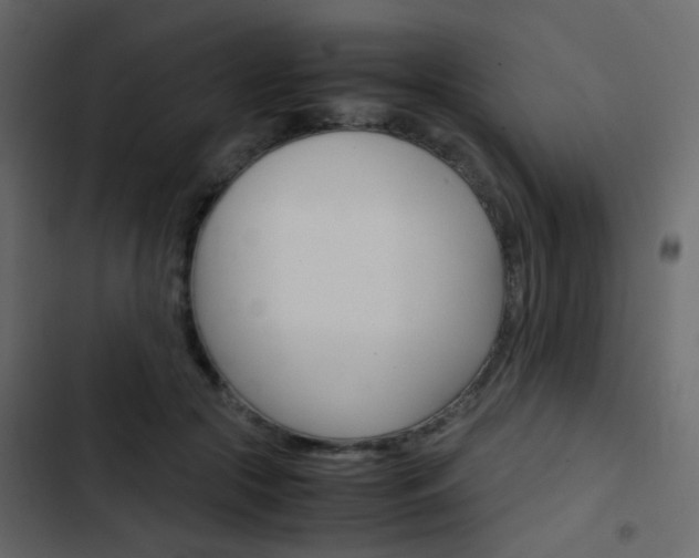 X0000103900553200809191058