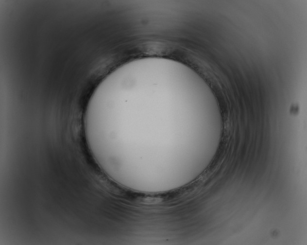X0000103900554200809191058