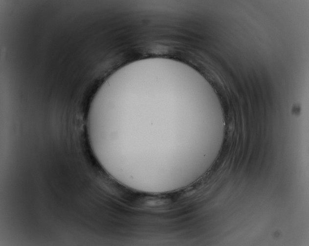 X0000103900555200809191058