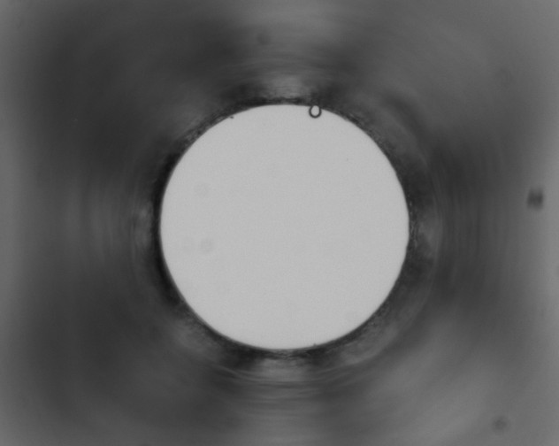 X0000103900556200809191058