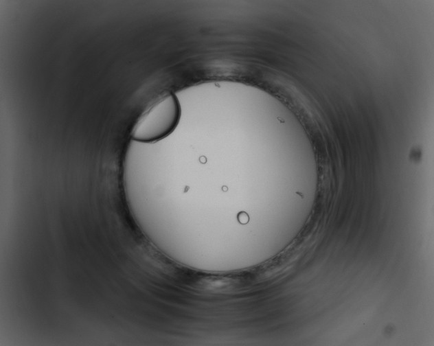 X0000103900557200809191058