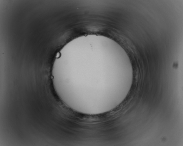 X0000103900559200809191058