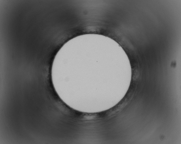 X0000103900560200809191058