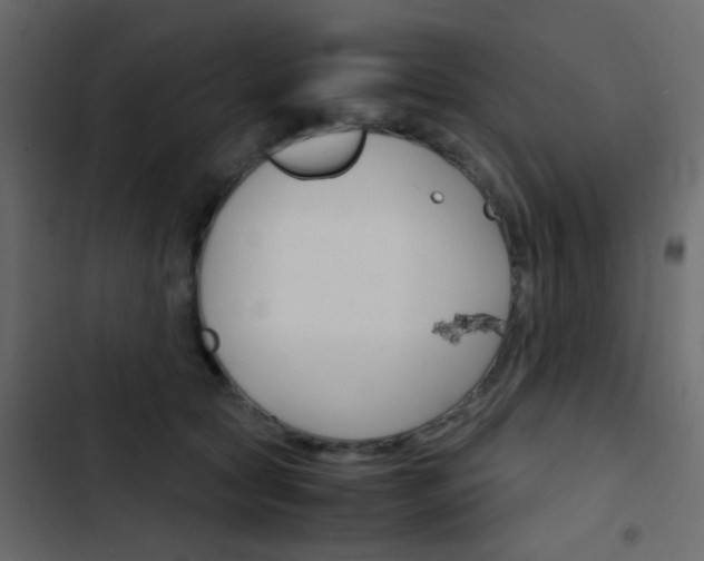 X0000103900561200809191058