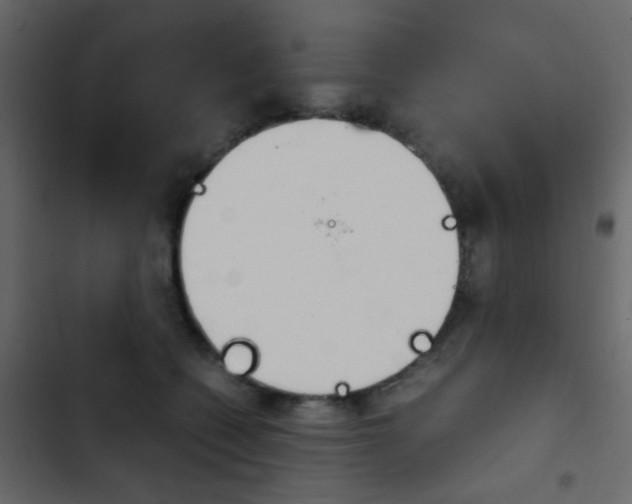 X0000103900562200809191058