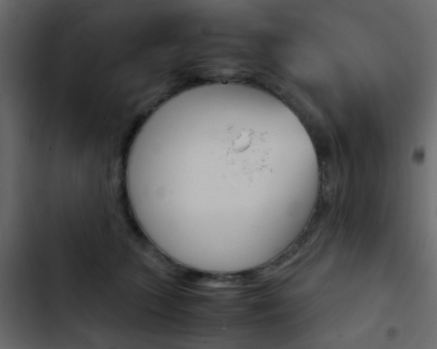 X0000103900563200809191058